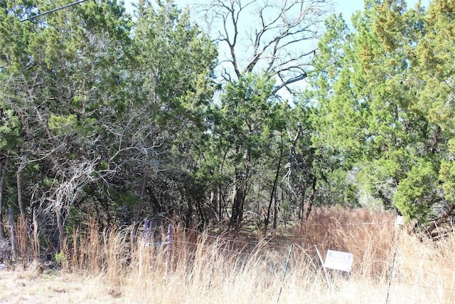 Listing photo 2 for TBD Oak Run Dr, Wimberley TX 78676