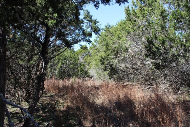 TBD Oak Run Dr, Wimberley, TX 78676 - photo 10