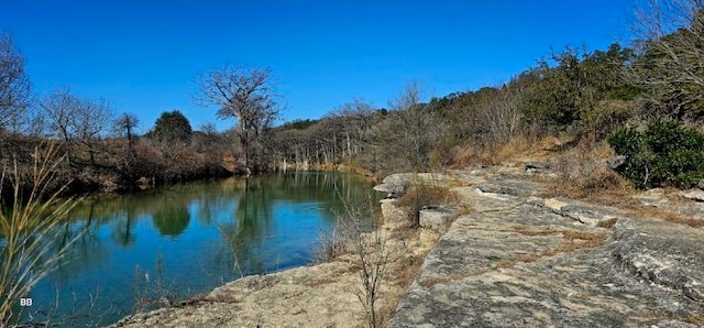 TBD Oak Run Dr, Wimberley, TX 78676 - photo 12