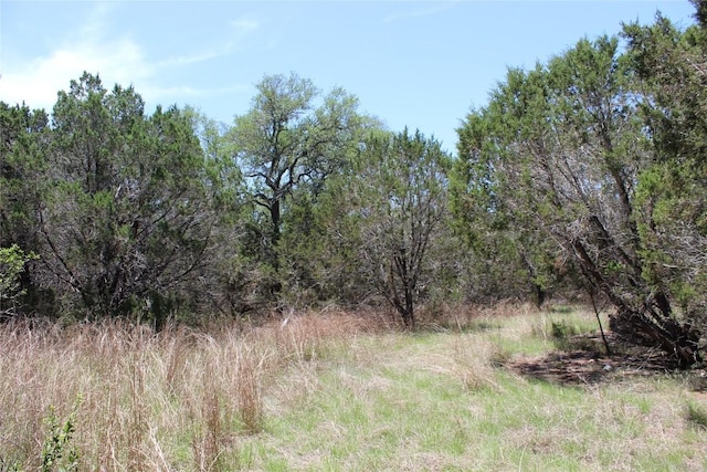 TBD Oak Run Dr, Wimberley, TX 78676 - photo 20