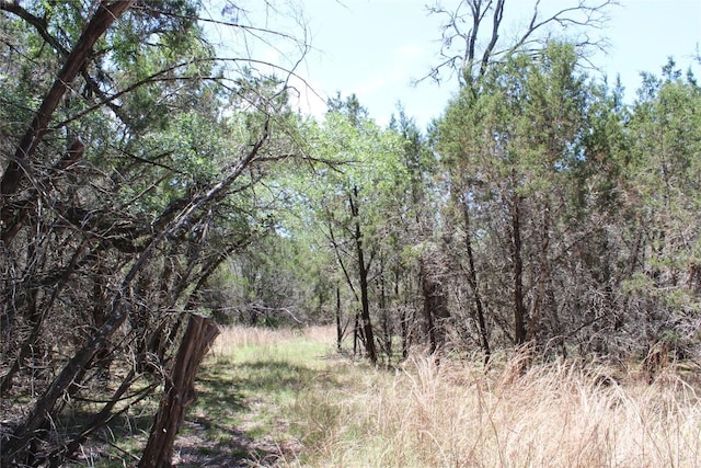 TBD Oak Run Dr, Wimberley, TX 78676 - photo 21