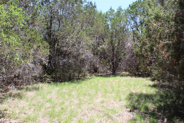 TBD Oak Run Dr, Wimberley, TX 78676 - photo 6
