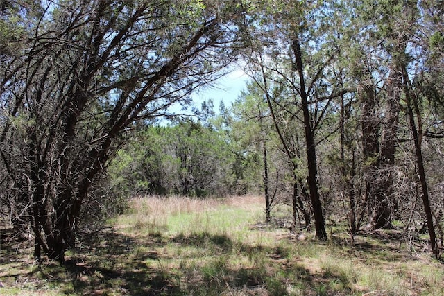 TBD Oak Run Dr, Wimberley, TX 78676 - photo 17