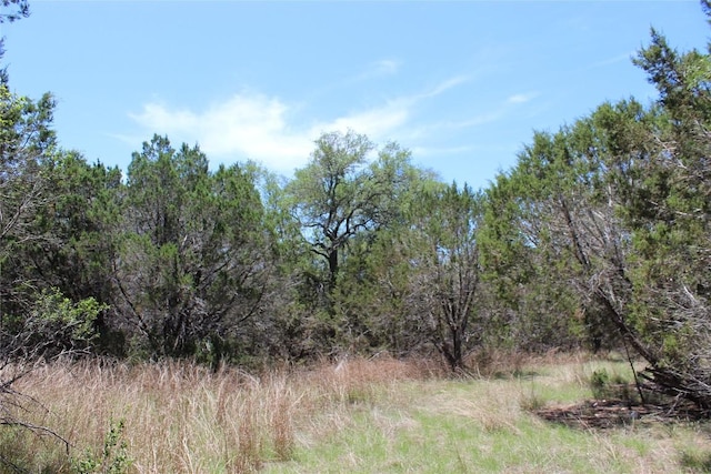 TBD Oak Run Dr, Wimberley, TX 78676 - photo 18