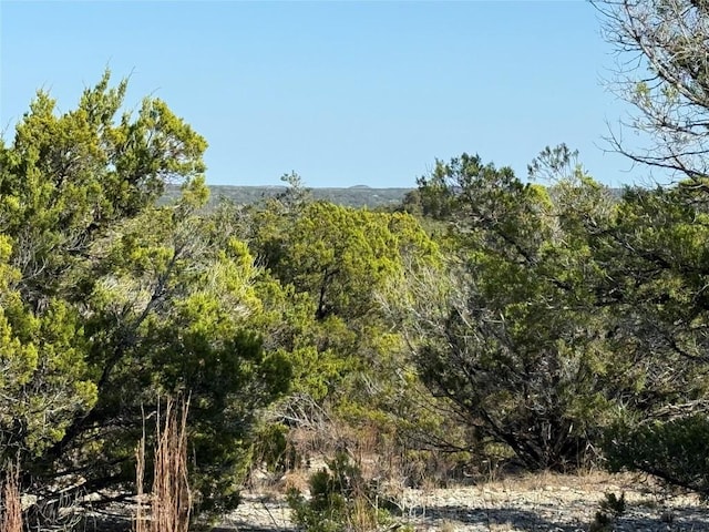 105 S Park Rd, Wimberley TX, 78676 land for sale