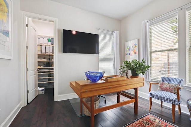 office featuring dark wood finished floors, plenty of natural light, and baseboards