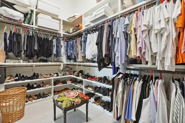 walk in closet featuring carpet flooring