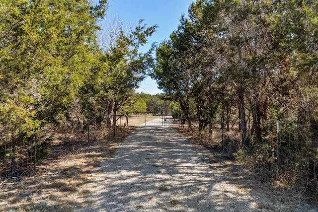 view of road with a rural view and a gated entry