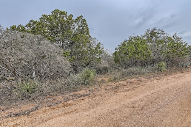 Listing photo 3 for TBD Hill Rose Dr, Granite Shoals TX 78654