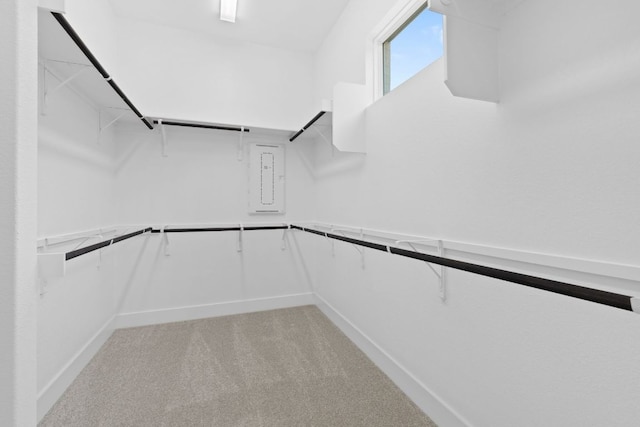 1109 Blanket Flower Dr, Georgetown, TX 78628 - walk in closet with light carpet and electric panel