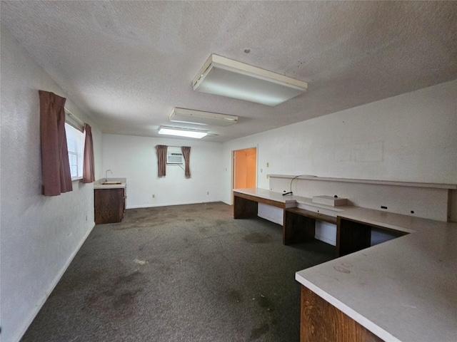 3105 Indian Mound Rd, Georgetown, TX 78628 - basement featuring a textured ceiling, carpet floors, a wall mounted air conditioner, and a sink