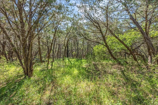 2453 S Rainbow Ranch Rd S, Wimberley, TX 78676