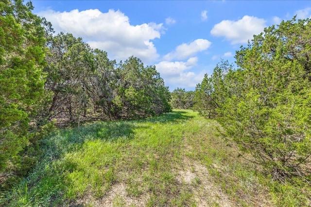 2453 S Rainbow Ranch Rd S, Wimberley, TX 78676 - photo 9