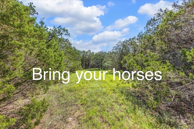 2453 S Rainbow Ranch Rd S, Wimberley, TX 78676 - photo 1