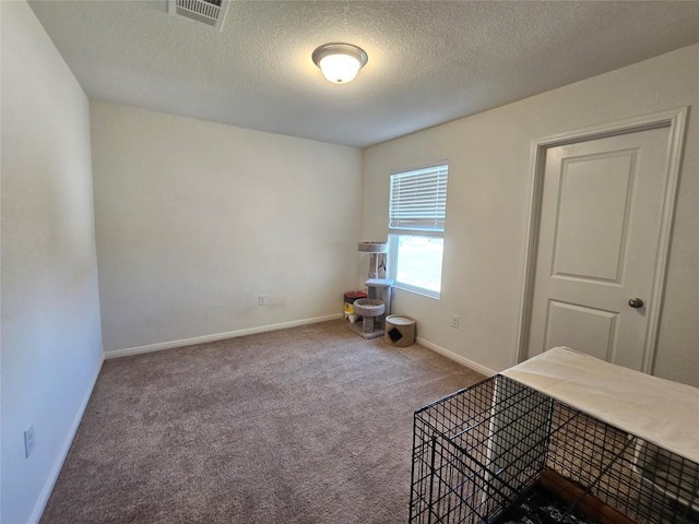 interior space with a textured ceiling, carpet floors, visible vents, and baseboards