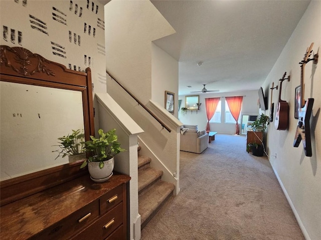 113 Athena Way Unit 83-A, Jarrell, TX 76537 - photo 3