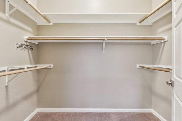 6303 Needham Ln, Austin, TX 78739 - spacious closet with carpet floors