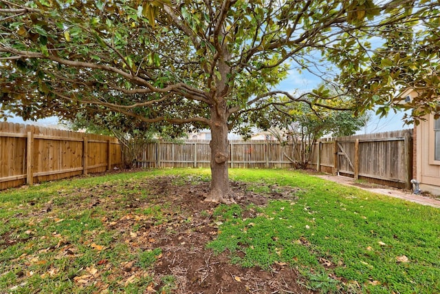 view of yard with a fenced backyard