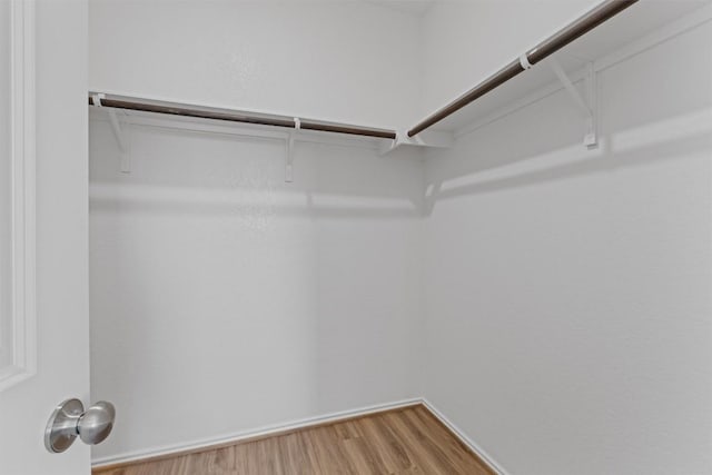 spacious closet featuring wood finished floors