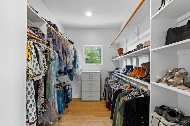 spacious closet featuring light wood finished floors