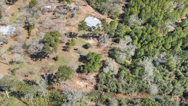 138 Pines Park Dr, Smithville, TX 78957 - photo 38