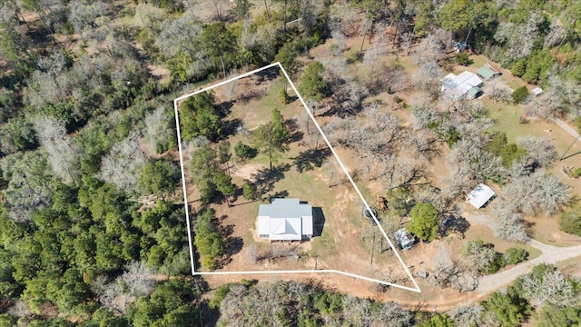 138 Pines Park Dr, Smithville, TX 78957 - birds eye view of property