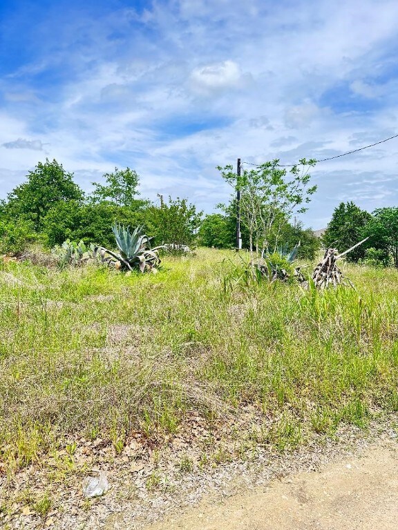 126 Wild Bird Loop, Smithville TX, 78957 land for sale