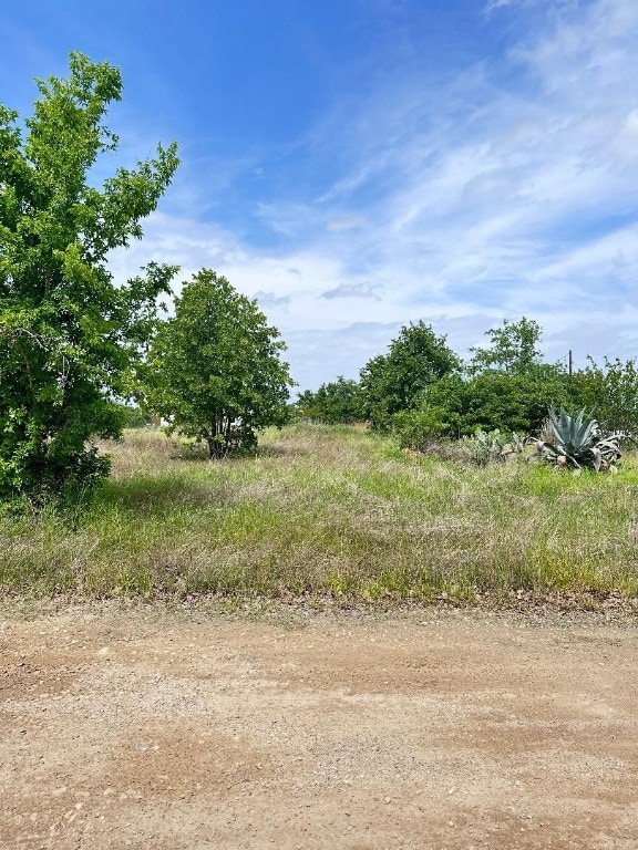 Listing photo 2 for 126 Wild Bird Loop, Smithville TX 78957