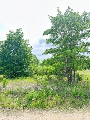 Listing photo 3 for 136 Wild Bird Loop, Smithville TX 78957