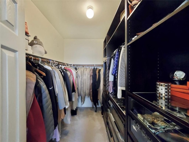 view of walk in closet