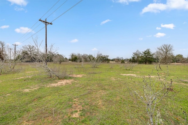 533L4 Grassyville Rd, Paige, TX 78659 - photo 6