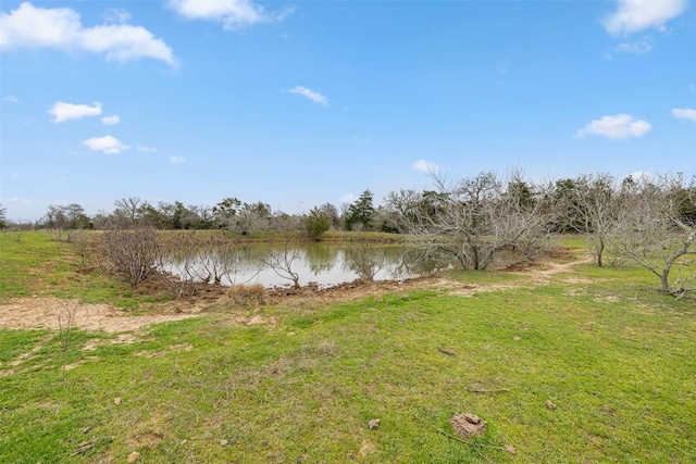 533L4 Grassyville Rd, Paige, TX 78659 - photo 11