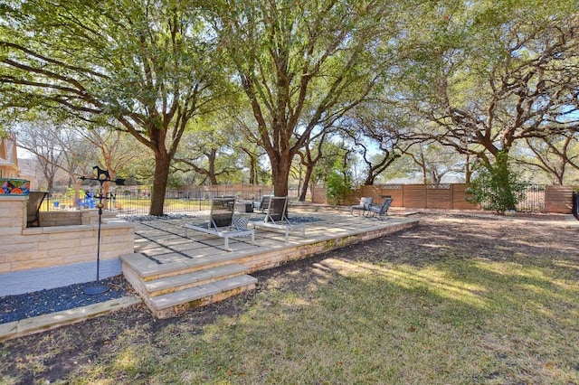 view of yard with a patio and a fenced backyard