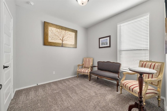 sitting room with carpet floors and baseboards