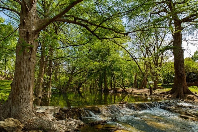 view of nature