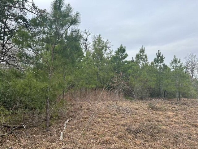 008 Agget Rd, Smithville, TX 78957