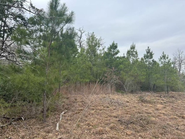 008 Agget Rd, Smithville, TX 78957