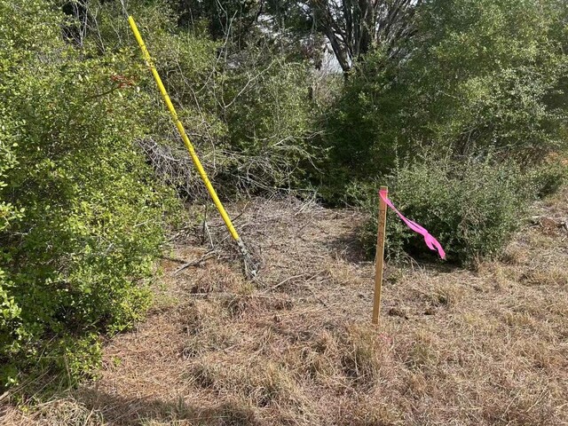 008 Agget Rd, Smithville, TX 78957