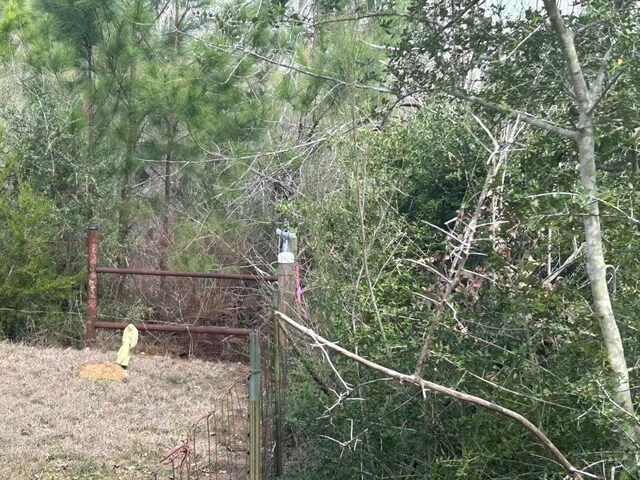 008 Agget Rd, Smithville, TX 78957