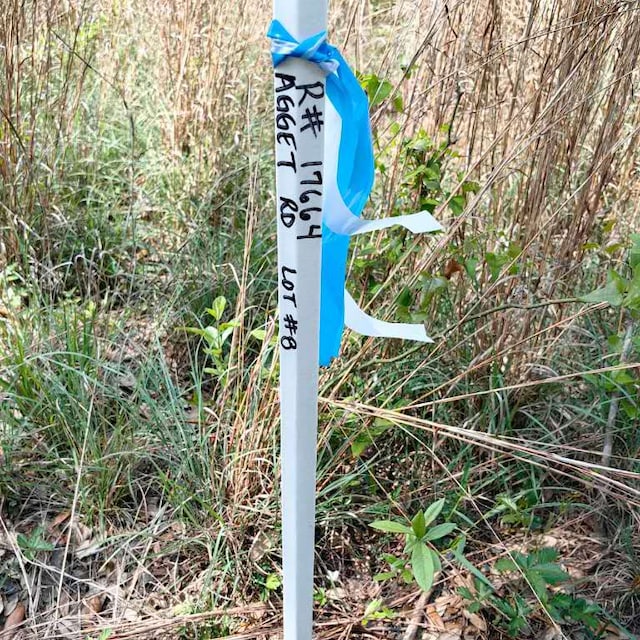 008 Agget Rd, Smithville, TX 78957