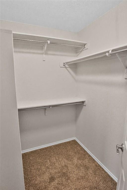 walk in closet with carpet floors and attic access