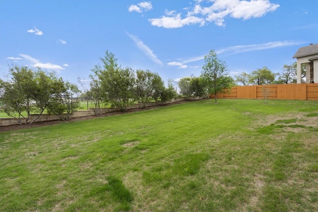 136 Brins Way, Dripping Springs, TX 78620 - photo 39