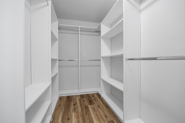 spacious closet featuring dark wood-type flooring