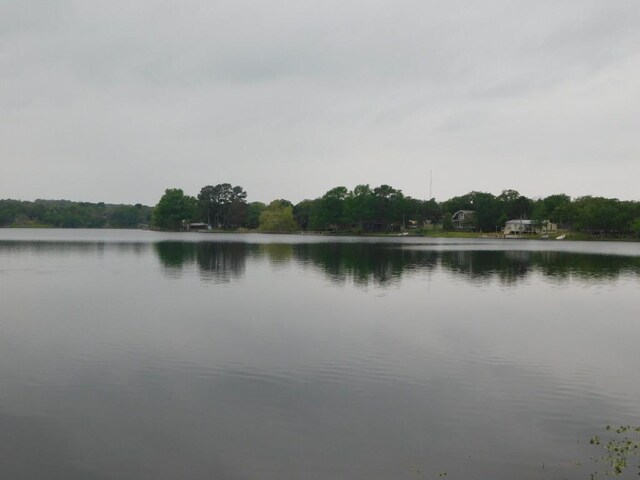209 Big Bow St, Smithville, TX 78957 - photo 5