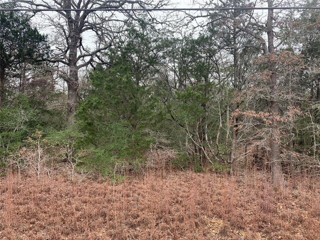 209 Big Bow St, Smithville, TX 78957 - photo 6