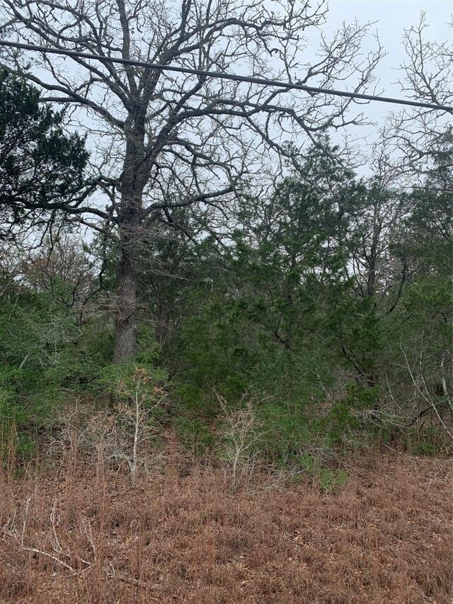 209 Big Bow St, Smithville, TX 78957 - photo 7