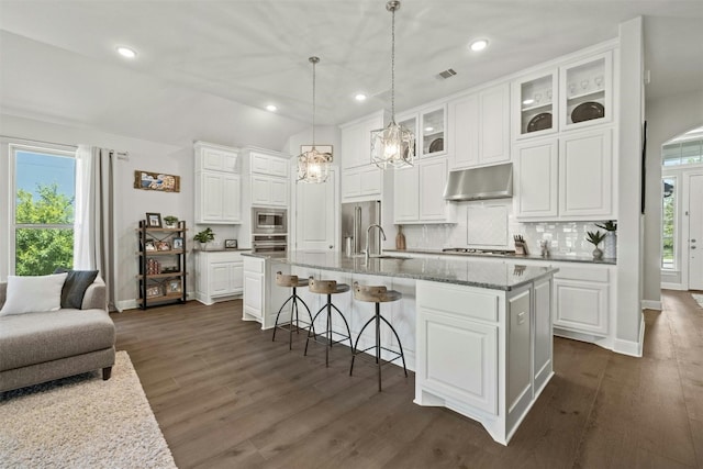1820 Ficuzza Way, Leander, TX 78641 - kitchen with under cabinet range hood, appliances with stainless steel finishes, a chandelier, backsplash, and plenty of natural light