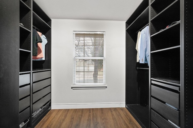 walk in closet with wood finished floors