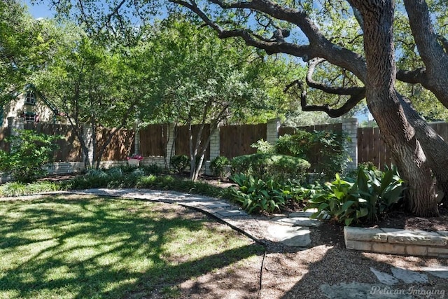 126 Firebird St, Lakeway, TX 78734 - view of yard