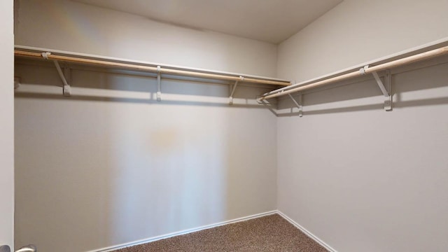 spacious closet featuring carpet floors